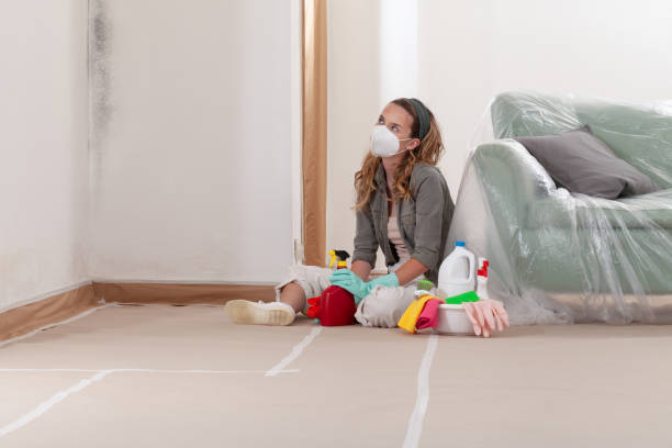 Reliable Mold Testing contractor in Lakeside, VA by WQB Mold Removal